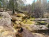"Pleasant View" Baltimore Loop Road, Atholwood, NSW 2361-Image