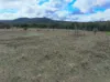 "Pleasant View" Baltimore Loop Road, Atholwood, NSW 2361-Image