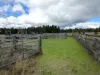 "Pleasant View" Baltimore Loop Road, Atholwood, NSW 2361-Image