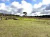 "Pleasant View" Baltimore Loop Road, Atholwood, NSW 2361-Image