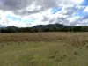 "Pleasant View" Baltimore Loop Road, Atholwood, NSW 2361-Image