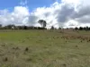 "Pleasant View" Baltimore Loop Road, Atholwood, NSW 2361-Image