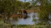 Polelle Station, Meekatharra WA 6642-Image