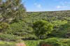 'Railway' Depot Flat Road, Yarrah, SA 5433-Image