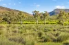 'Railway' Depot Flat Road, Yarrah, SA 5433-Image