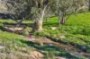 'Railway' Depot Flat Road, Yarrah, SA 5433-Image