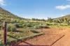 'Railway' Depot Flat Road, Yarrah, SA 5433-Image