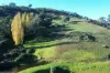 Reid Lane, Gundowring, Vic 3691-Image