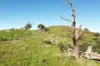 Reid Lane, Gundowring, Vic 3691-Image