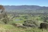 Reid Lane, Gundowring, Vic 3691-Image