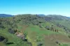 Reid Lane, Gundowring, Vic 3691-Image