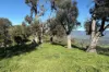 Reid Lane, Gundowring, Vic 3691-Image