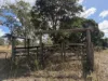 "Six Mile" Cedarvale Road, Boyne Valley, Qld 4680-Image