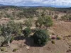 "Six Mile" Cedarvale Road, Boyne Valley, Qld 4680-Image