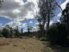 "Six Mile" Cedarvale Road, Boyne Valley, Qld 4680-Image