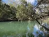 "Six Mile" Cedarvale Road, Boyne Valley, Qld 4680-Image