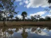 "Six Mile" Cedarvale Road, Boyne Valley, Qld 4680-Image