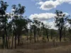 "Six Mile" Cedarvale Road, Boyne Valley, Qld 4680-Image