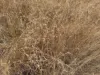 "Six Mile" Cedarvale Road, Boyne Valley, Qld 4680-Image