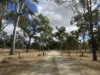 "Six Mile" Cedarvale Road, Boyne Valley, Qld 4680-Image