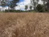 "Six Mile" Cedarvale Road, Boyne Valley, Qld 4680-Image