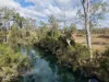 "Six Mile" Cedarvale Road, Boyne Valley, Qld 4680-Image