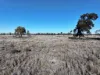 Stoney Ridge, Brewarrina, NSW 2839-Image