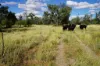 Stoney Ridge, Brewarrina, NSW 2839-Image