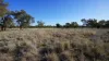 Stoney Ridge, Brewarrina, NSW 2839-Image