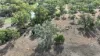 Stoney Ridge, Brewarrina, NSW 2839-Image