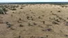 Stoney Ridge, Brewarrina, NSW 2839-Image