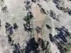 Stoney Ridge, Brewarrina, NSW 2839-Image