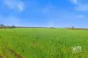 Sunnyside, 29 De Pledge Road, Kendenup, WA 6323-Image