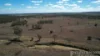 Sydney Street, Jandowae, Qld 4410-Image