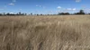 Sydney Street, Jandowae, Qld 4410-Image