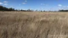 Sydney Street, Jandowae, Qld 4410-Image