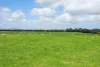 'The Paddock' Warrnambool-Caramut Road, Woolsthorpe, Vic 3276-Image