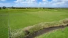 'The Paddock' Warrnambool-Caramut Road, Woolsthorpe, Vic 3276-Image