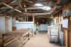 'The Paddock' Warrnambool-Caramut Road, Woolsthorpe, Vic 3276-Image