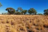 Warrambah - Bundaleer South Plains Road, Cunnamulla, Qld 4490
