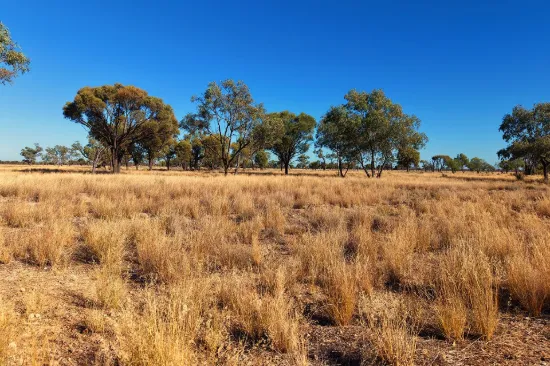 Warrambah - Bundaleer South Plains Road, Cunnamulla, Qld 4490