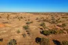 Warrambah - Bundaleer South Plains Road, Cunnamulla, Qld 4490-Image