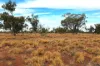 Warrambah - Bundaleer South Plains Road, Cunnamulla, Qld 4490-Image