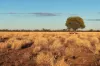 Warrambah - Bundaleer South Plains Road, Cunnamulla, Qld 4490-Image
