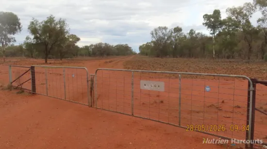 * WILGA, Coolabah, NSW 2831