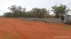* WILGA, Coolabah, NSW 2831-Image