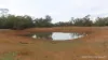 * WILGA, Coolabah, NSW 2831-Image