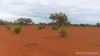 * WILGA, Coolabah, NSW 2831-Image