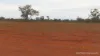* WILGA, Coolabah, NSW 2831-Image