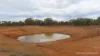 * WILGA, Coolabah, NSW 2831-Image